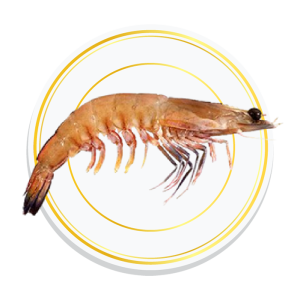 BROWN SHRIMPS