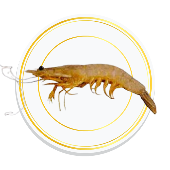 POOVALAN