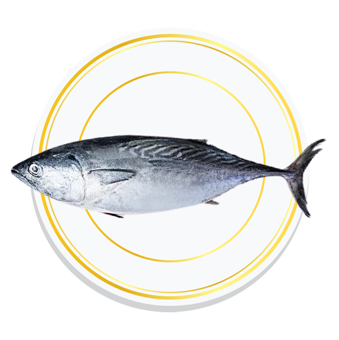 TUNA FISH