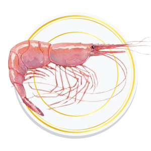 PINK SHRIMPS