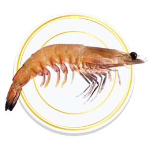 KARIKADI