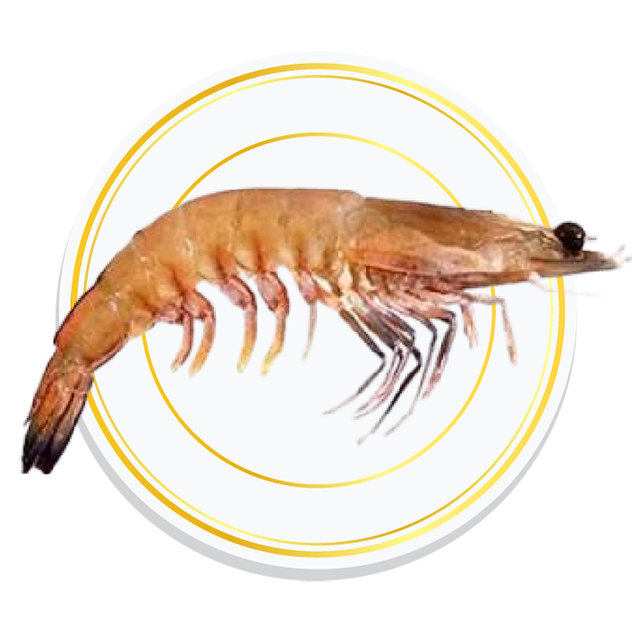 KARIKADI